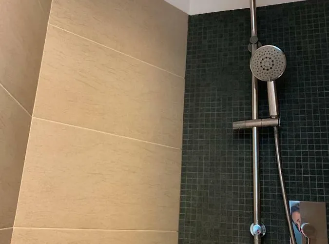 Flamingo 3* רימיני