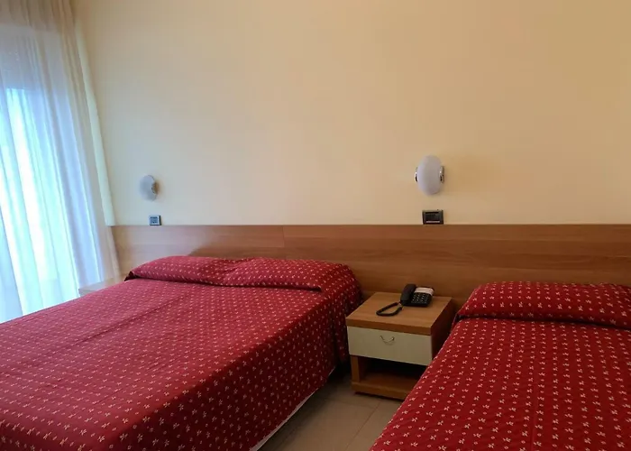 Flamingo רימיני